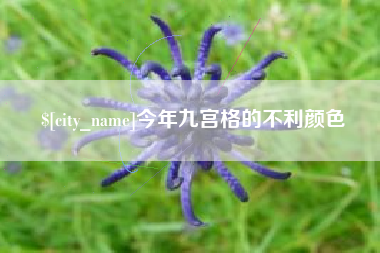 北海今年九宫格的不利颜色