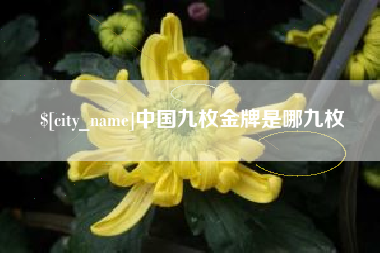北海中国九枚金牌是哪九枚