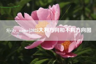 北海2025大利方向和不利方向图