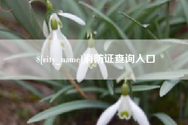 北海消防证查询入口