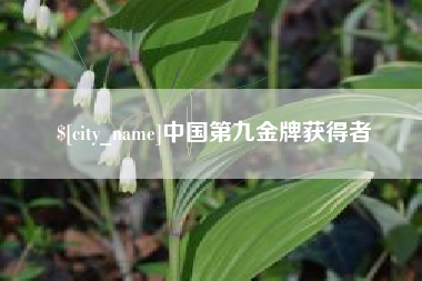 北海中国第九金牌获得者