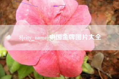 北海中国金牌图片大全