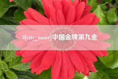 北海中国金牌第九金