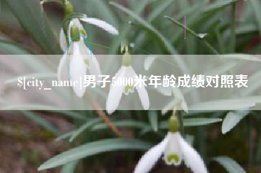 北海男子5000米年龄成绩对照表