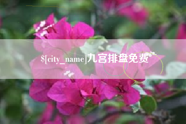 北海九宫排盘免费