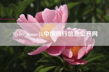 北海1.中国执行信息公开网