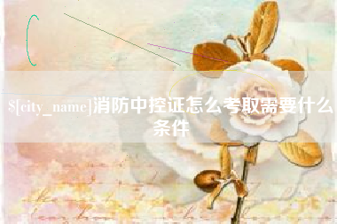 北海消防中控证怎么考取需要什么条件