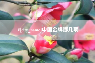 北海中国金牌哪几项