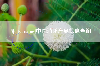北海中国消防产品信息查询