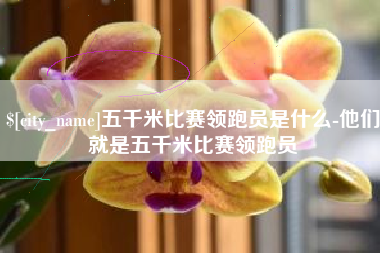 北海五千米比赛领跑员是什么-他们就是五千米比赛领跑员