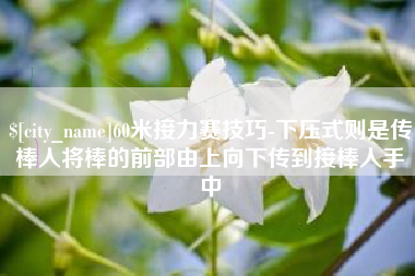 北海60米接力赛技巧-下压式则是传棒人将棒的前部由上向下传到接棒人手中