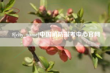 北海中国消防报考中心官网