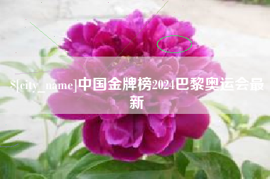 北海中国金牌榜2024巴黎奥运会最新
