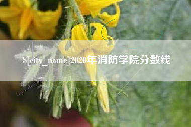 北海2020年消防学院分数线