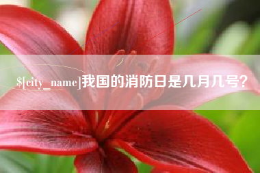 北海我国的消防日是几月几号？
