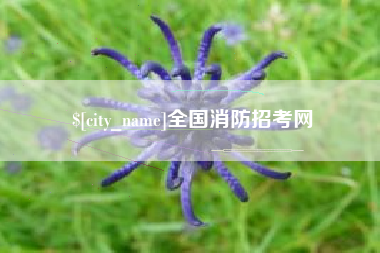 北海全国消防招考网
