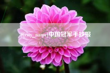 北海中国冠军手抄报