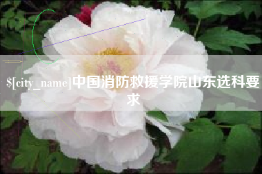 北海中国消防救援学院山东选科要求