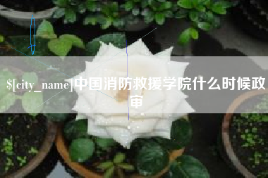 北海中国消防救援学院什么时候政审