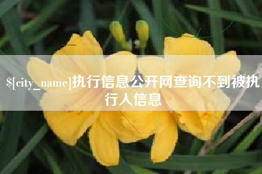 北海执行信息公开网查询不到被执行人信息