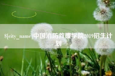 北海中国消防救援学院2019招生计划