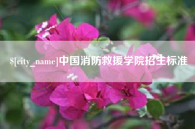 北海中国消防救援学院招生标准