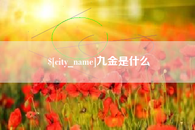 北海九金是什么
