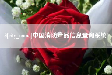 北海中国消防产品信息查询系统1
