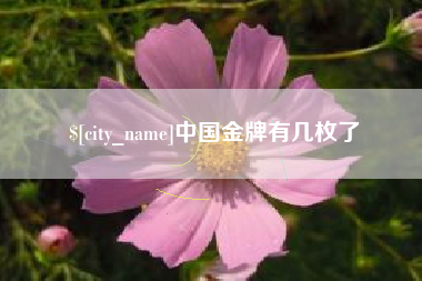 北海中国金牌有几枚了