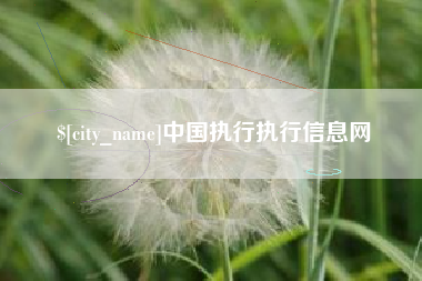 北海中国执行执行信息网
