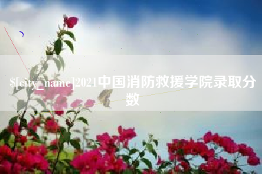 北海2021中国消防救援学院录取分数