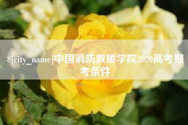 北海中国消防救援学院2020高考报考条件