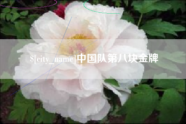 北海中国队第八块金牌