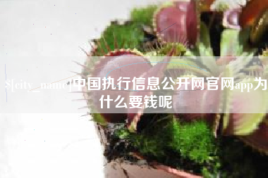 北海中国执行信息公开网官网app为什么要钱呢