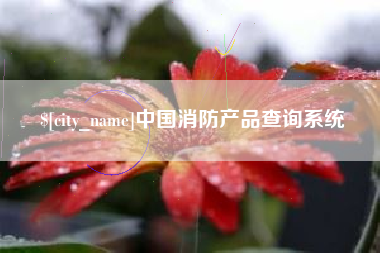 北海中国消防产品查询系统