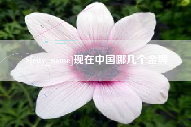 北海现在中国哪几个金牌