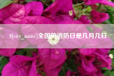 北海全国的消防日是几月几日