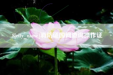 北海消防证国网查询操作证