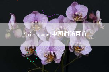 北海中国消防官方