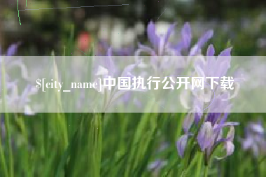 北海中国执行公开网下载