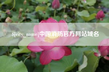 北海中国消防官方网站域名