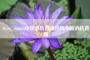 北海中国消防直播回放中国消防直播