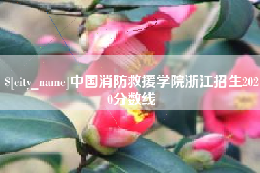 北海中国消防救援学院浙江招生2020分数线