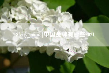 北海中国金牌有哪些2021
