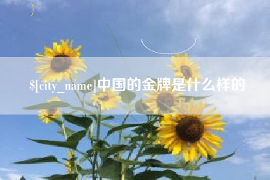 北海中国的金牌是什么样的